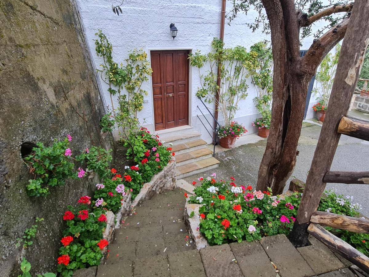 Casa Betania Da Peppe Villa Sorrento Ngoại thất bức ảnh